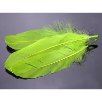 Pióra naturalne barwione koloru neonowo zielonego 10-16cm