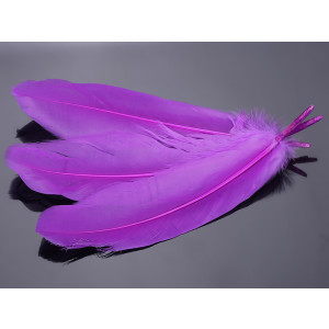 Pióra naturalne barwione koloru fioletowego 10-16cm