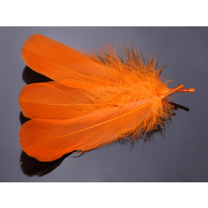 Pióra naturalne barwione koloru pomarańczowego 10-16cm