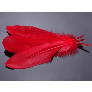 Pióra naturalne barwione koloru czerwonego 10-16cm