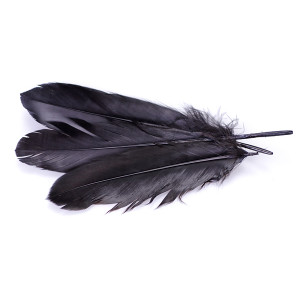 Pióra naturalne barwione koloru czarnego 10-16cm